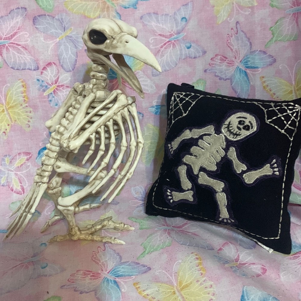 🦋 Halloween skeleton crow and a skeleton door pillow. Hang on door knob.